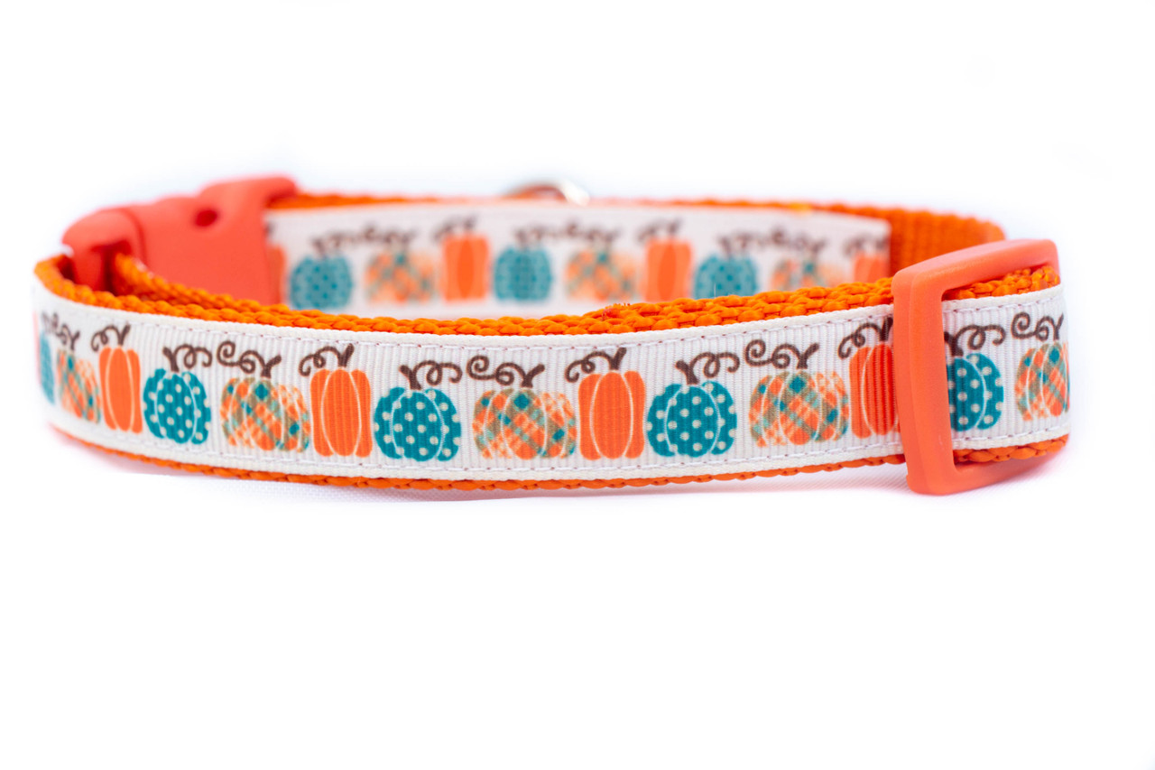 Teal Pumpkin Dog Collar Small Dog Collar - Main Image