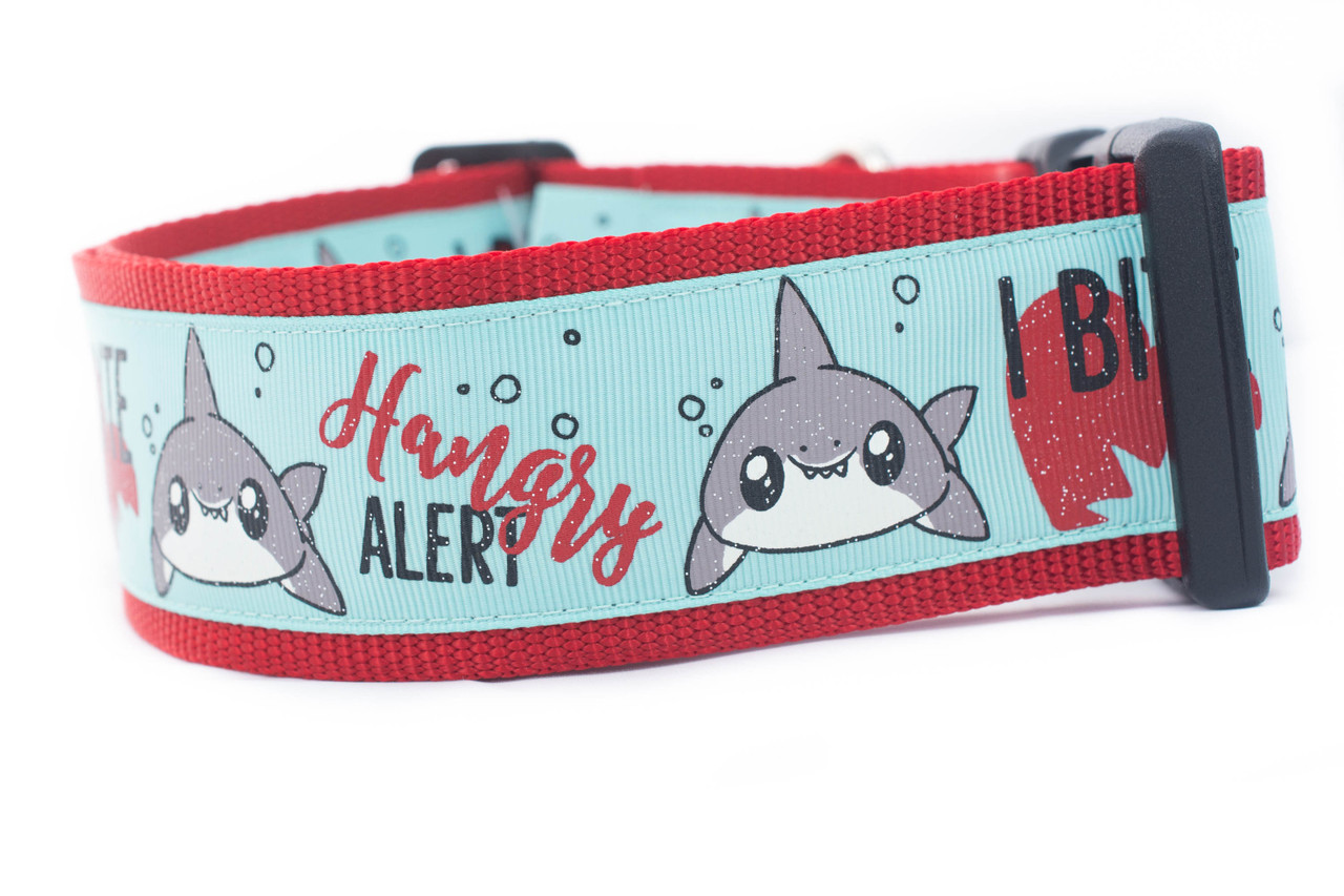 shark dog collar