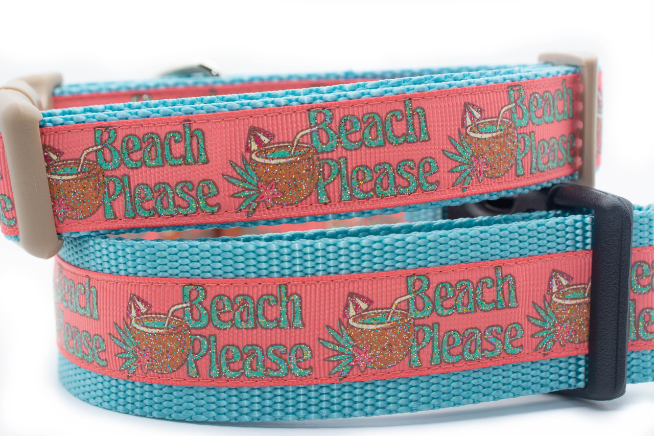 beach dog collars