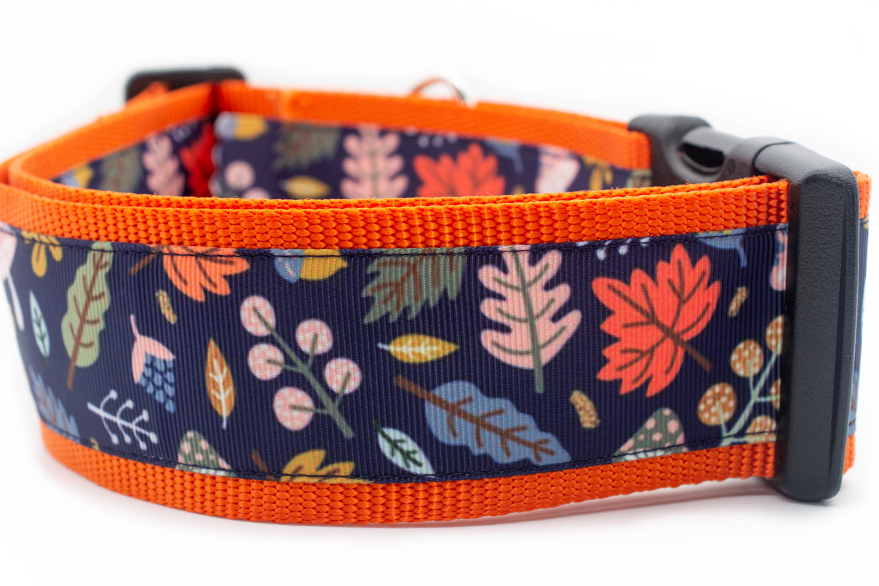Fashion Designer dog collar handmade adjustable buckle 1 or 5/8 wide or  leash