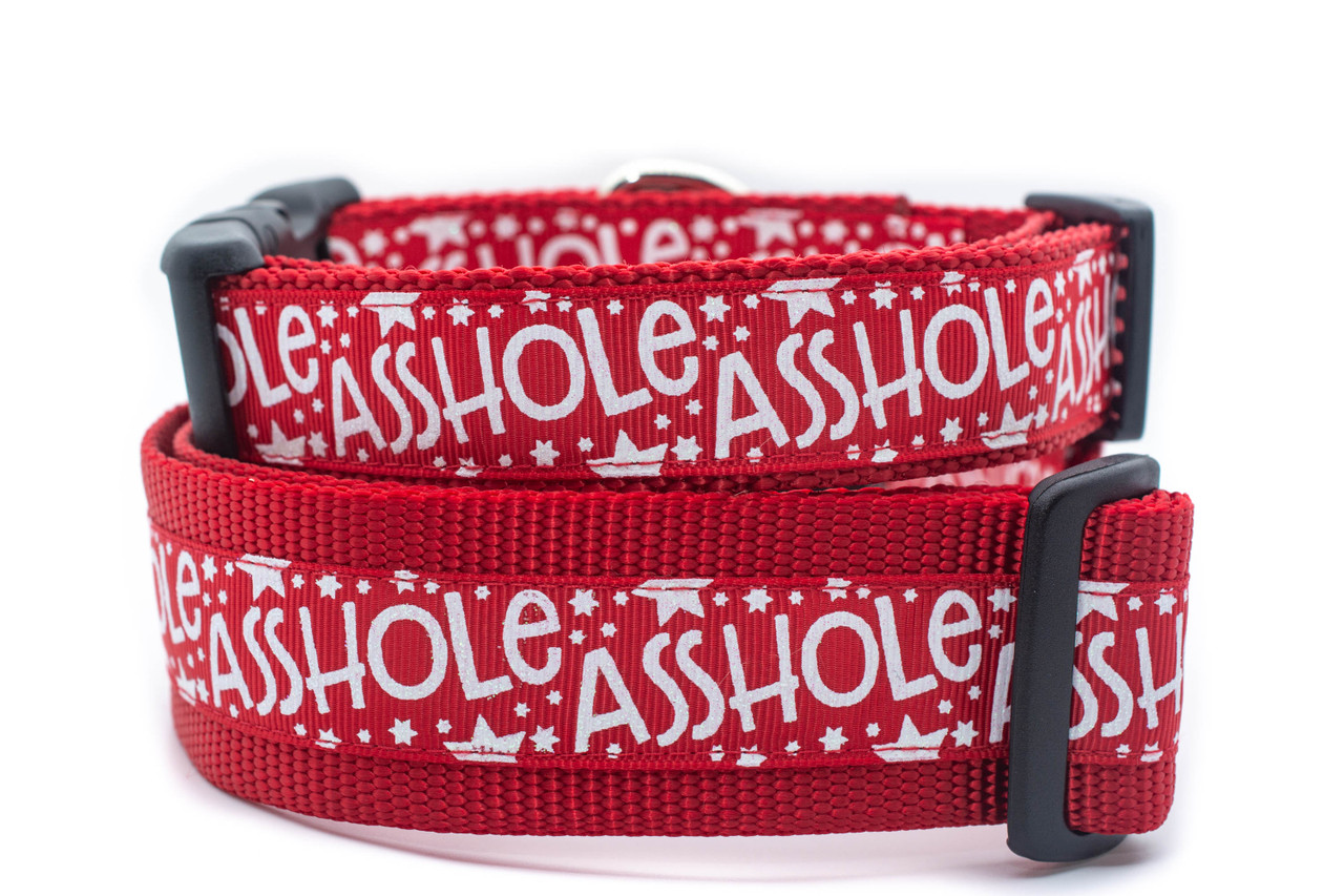 Asshole Dog collar, dog collar, obscene dog collar, funny dog collar, blue dog  collar, dog collar boy, asshole, wide dog collar, adjustable