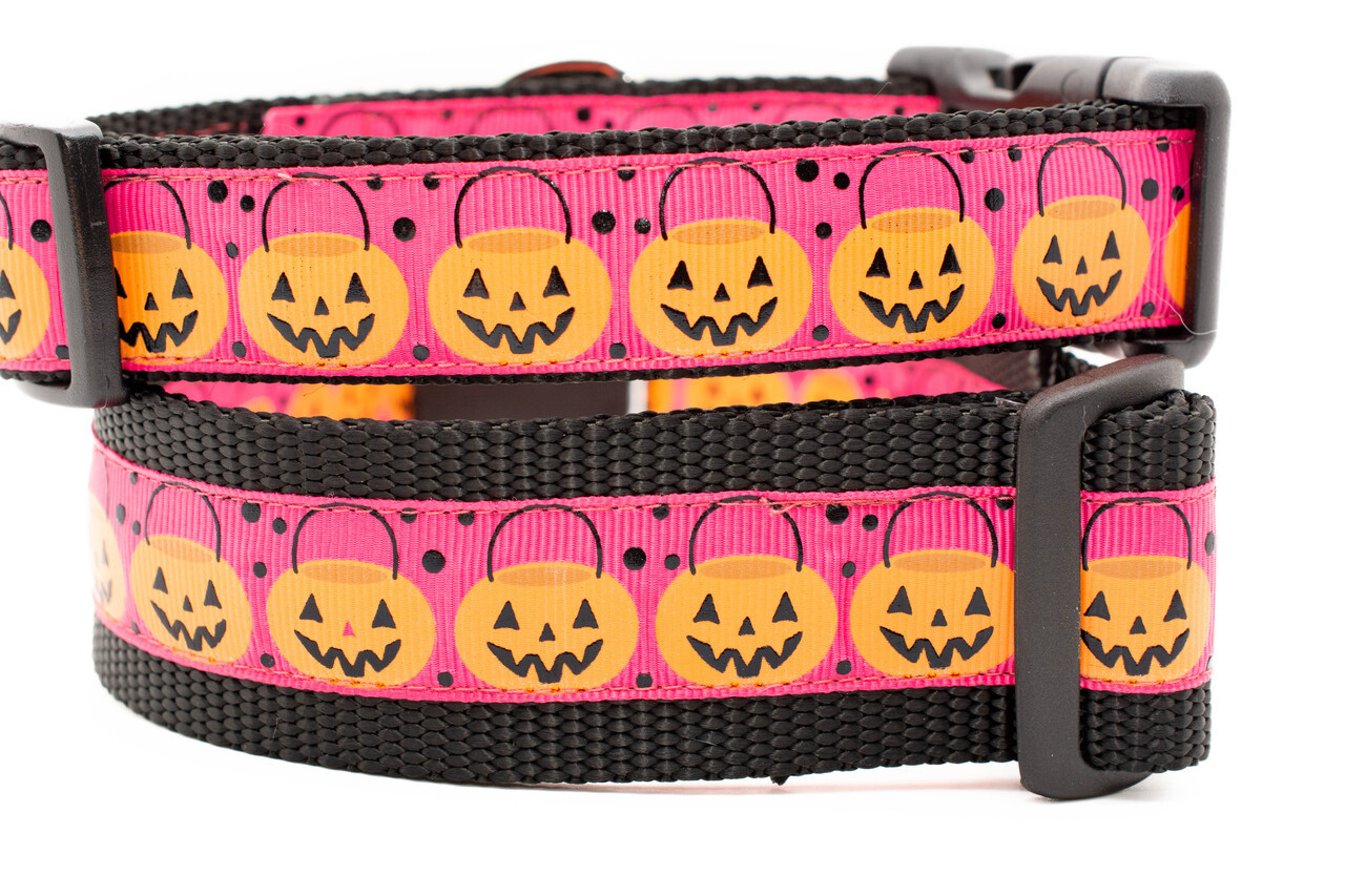 Hot Pink Pumpkin Halloween Dog Collar
