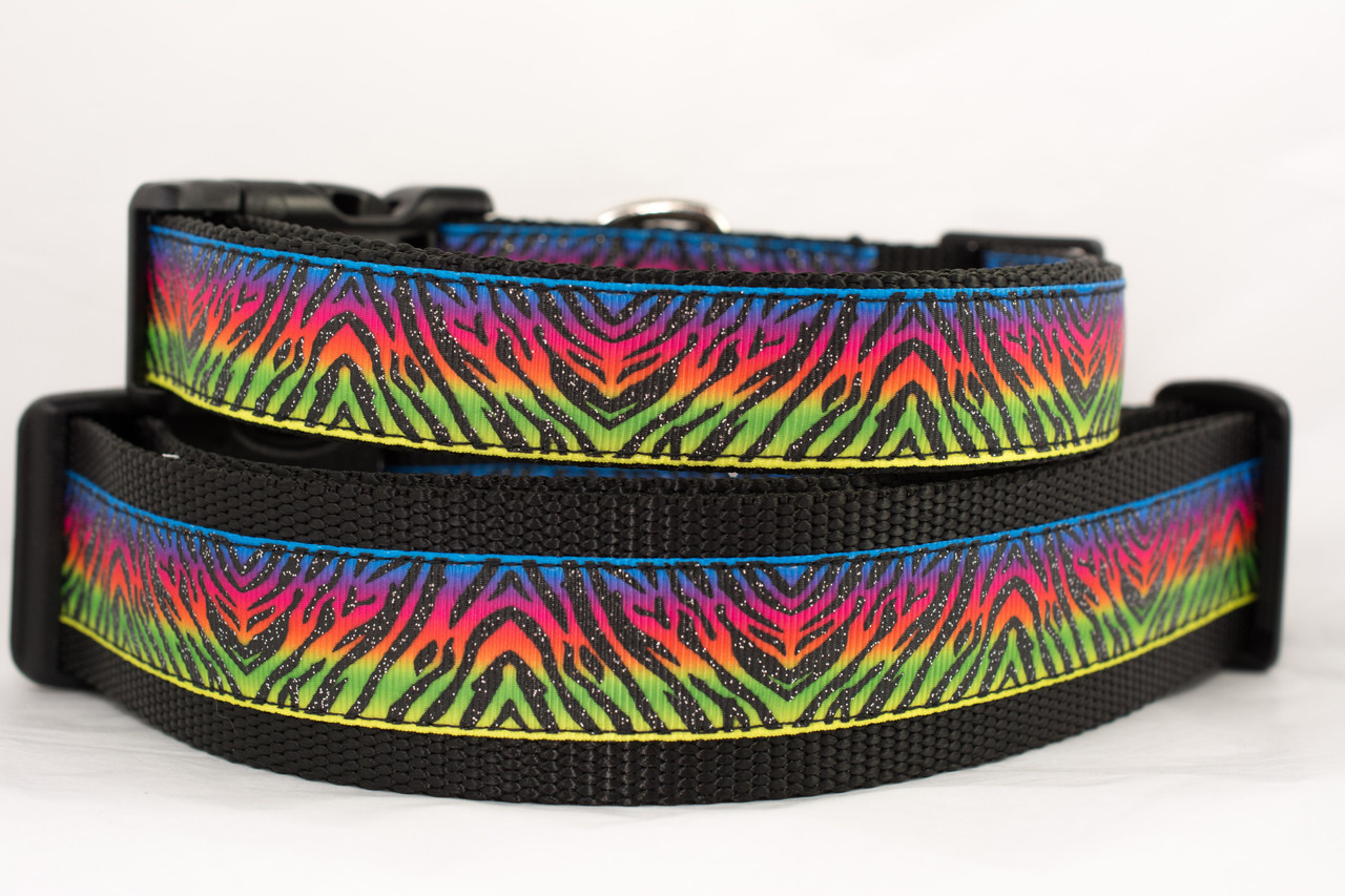 Neon Zebra Dog Collar