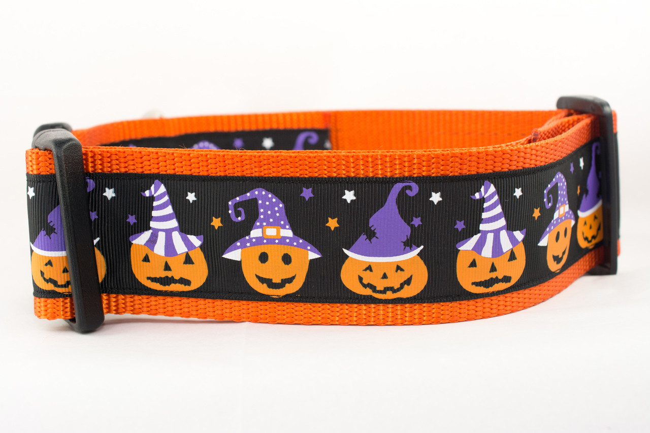 pumpkin dog collar
