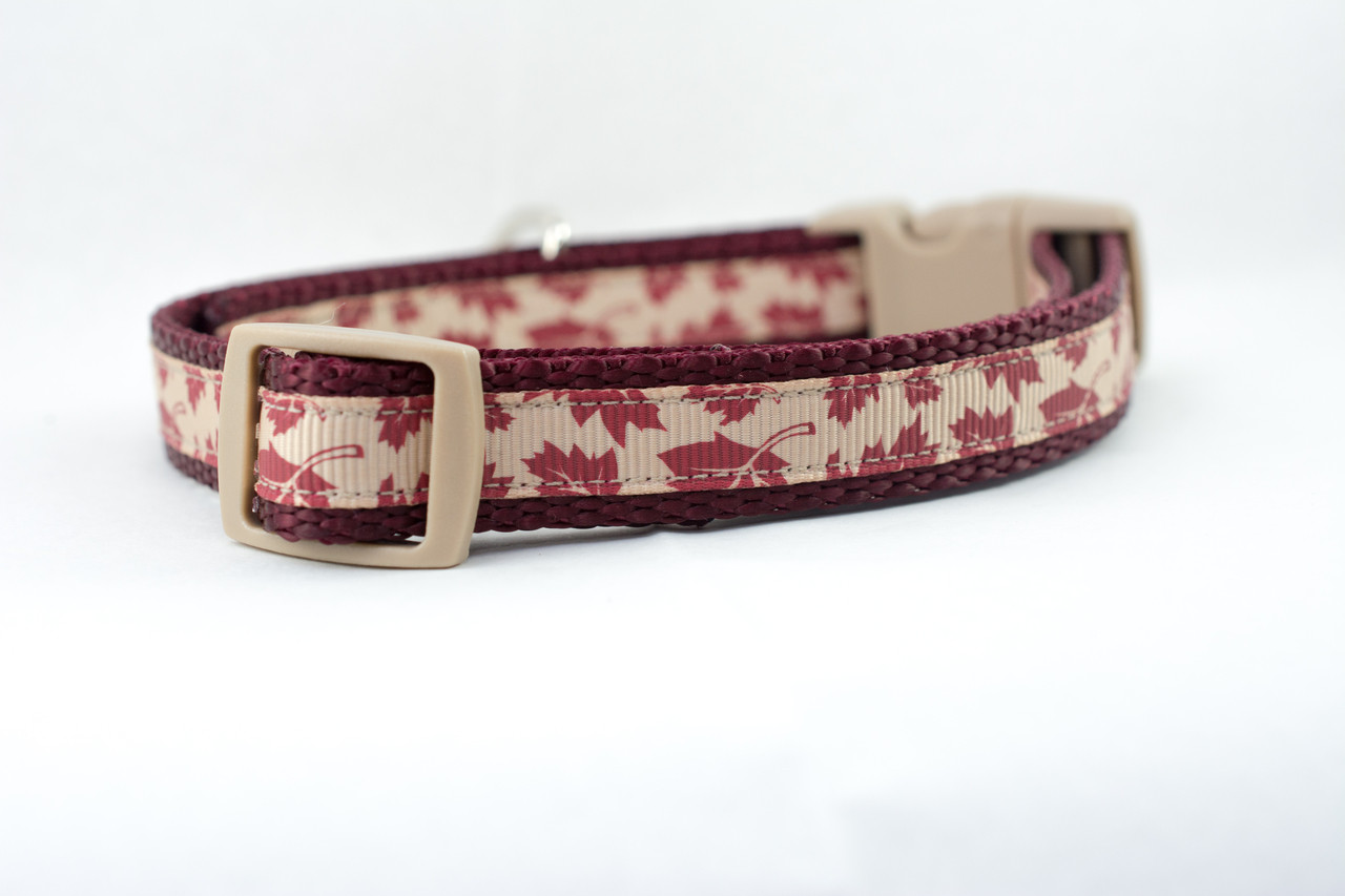 fall dog collar