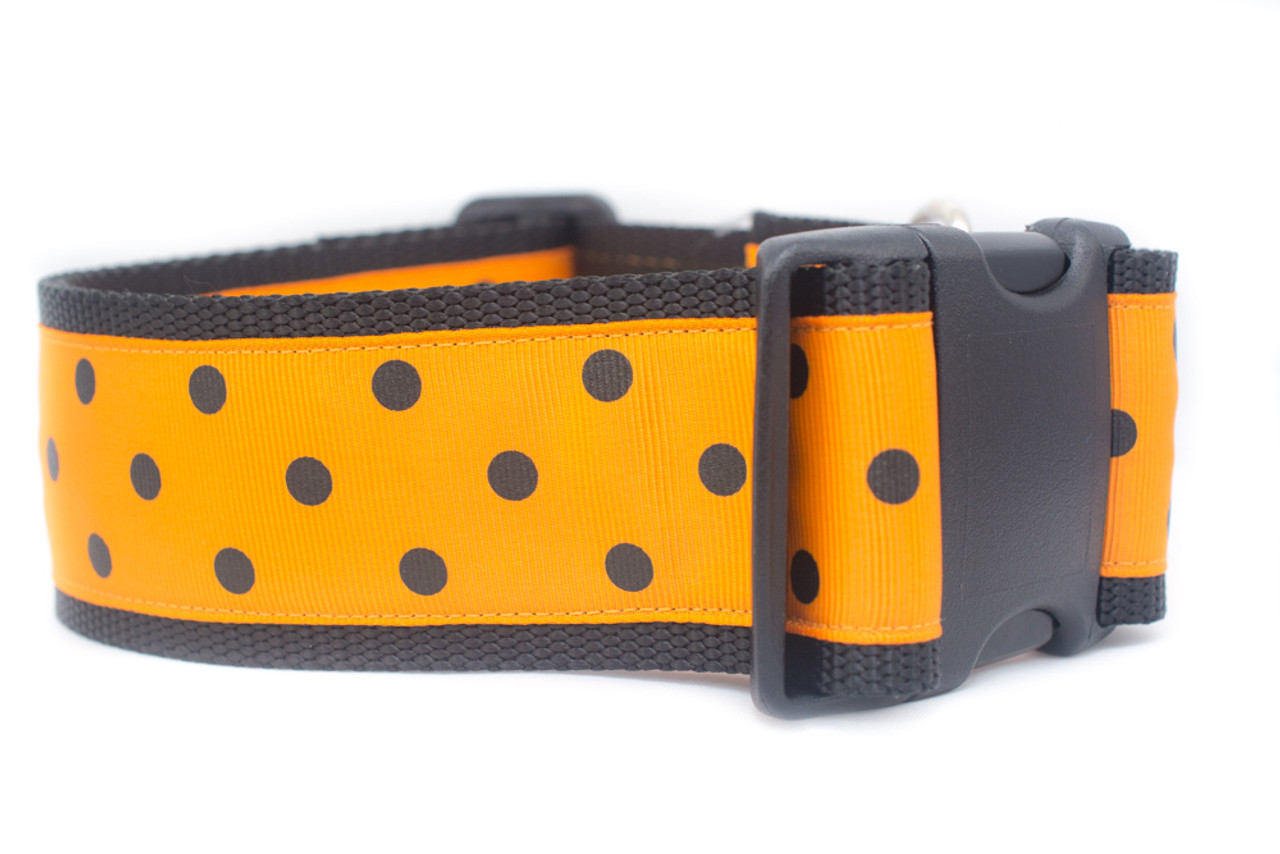 Orange and black dog collar