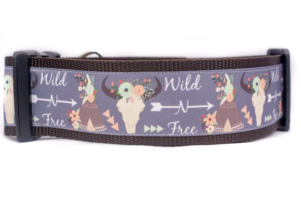 gypsy dog collar