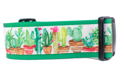 Green dog collar featuring a cactus design with various potted cacti in shades of green, pink, and yellow. 