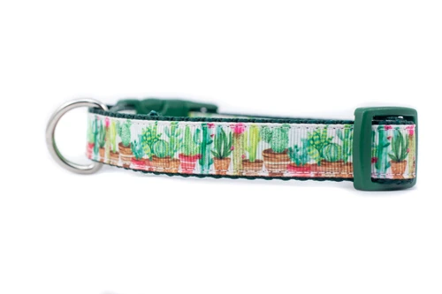 Collar with a green cactus print and many varieties of potted succulents.