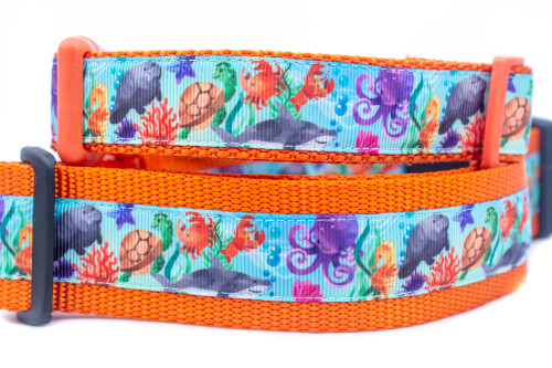 Ocean themed collar with sea life on ocean blue background and orange nylon.