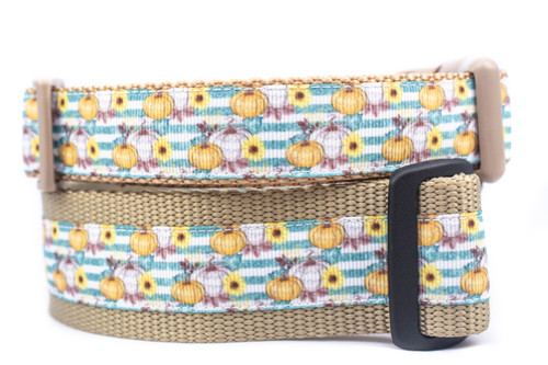Fall Stripe Pumpkin Dog Collar 1 or 1.5" wide Fall Stripe Pumpkin Dog Collar 1 or 1.5" wide