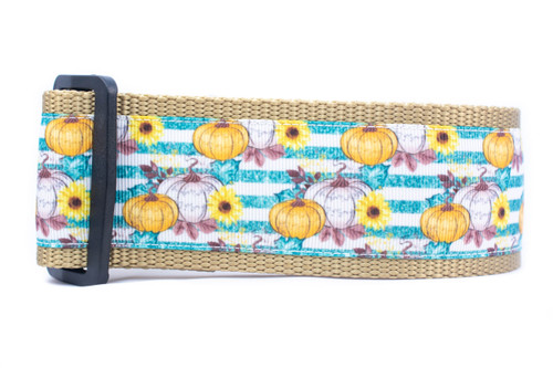 Fall Stripe Pumpkin Dog Collar 2" wide Fall Stripe Pumpkin Dog Collar 2" wide