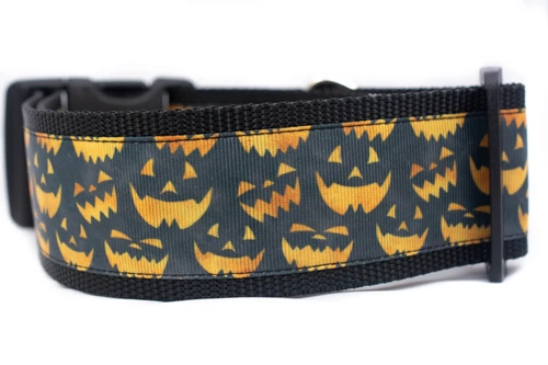 Black dog collar with a repeating pattern of orange jack-o'-lantern faces on a dark background.