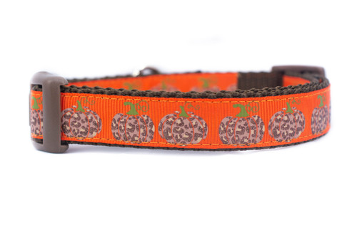leopard pumpkins on an orange background with brown nylon