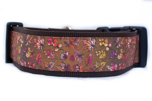 A brown dog collar with a fall-themed pattern. The pattern features colorful leaves and berries on a brown background.