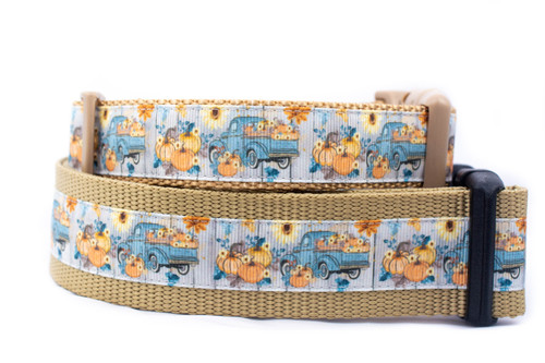 A light blue dog collar with a pattern of a blue pickup trucks carrying pumpkins and sunflowers. 
