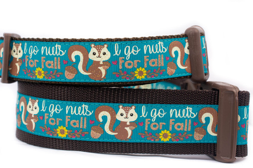 A turquoise blue dog collar with brown nylon. The collar has a repeating pattern of squirrels, acorns, and flowers. The text 'I go nuts for Fall' is printed on the collar.