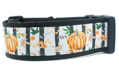 Black dog collar with a white and black striped pattern. The collar features a repeating design of orange pumpkins, fall leaves, and floral accents. 