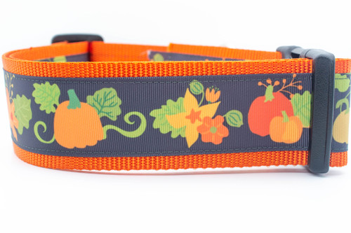 Orange dog collar with a pumpkin and leaf pattern.