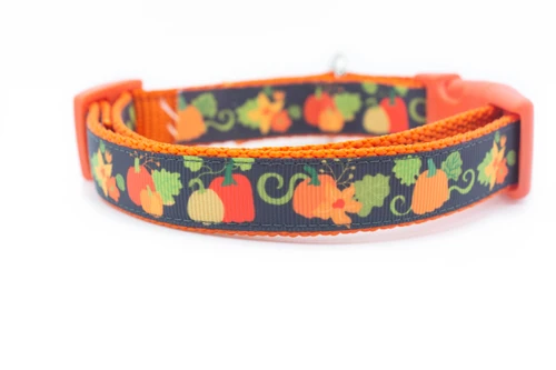 Orange dog collar with a pumpkin and leaf pattern.