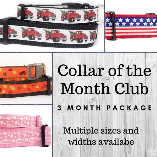 3 month package