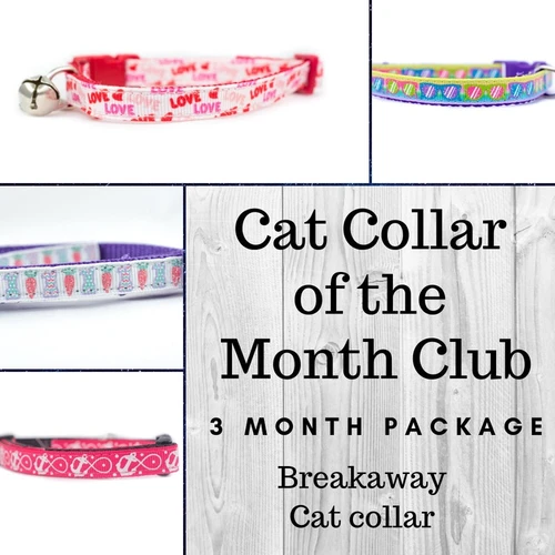 Cat Collar of the Month