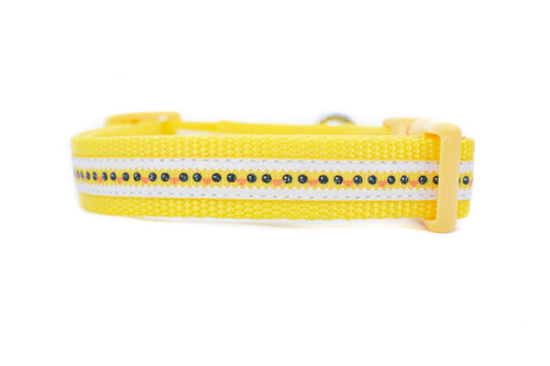 A yellow dog collar with an eggshell border and peeping chicks.