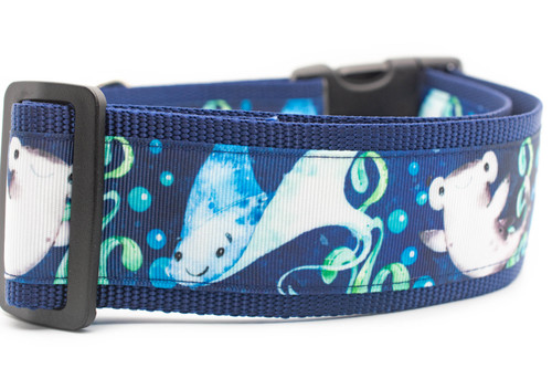 Shark 2 inch wide collar Shark 2 inch wide collar
