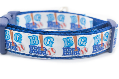 Big brother dog collar 1 inch wide