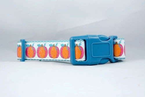 The collar has a repeating pattern of orange pumpkins with pink accents and blue leaves.