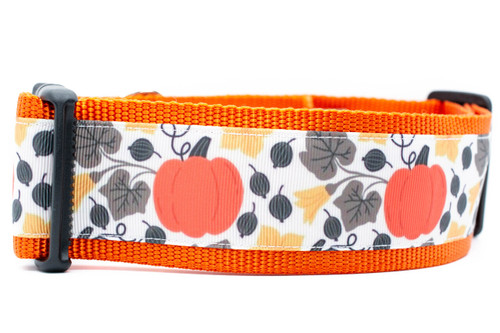2 inch wide collar with orange nylon and a harvest pumpkin design with pumpkins and cream colored flowers and grey vines and seeds