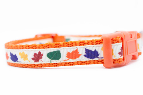 5/8 inch wide collar with orange nylon and a multicolored fall leaves on a white background. 5/8 inch wide collar with orange nylon and a multicolored fall leaves on a white background.