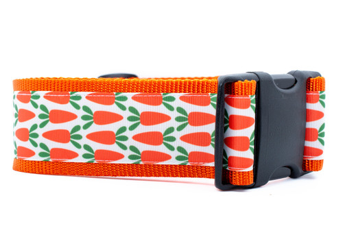 2 inch wide collar with orange nylon and rows of carrots.