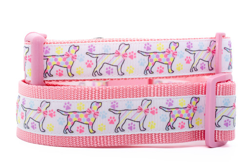 Collar with pink nylon and an spring pastel paw print background.  Top is 1 inch wide and bottom is 1.5 inch wide. Collar with pink nylon and an spring pastel paw print background.  Top is 1 inch wide and bottom is 1.5 inch wide.