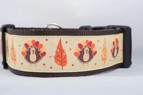 Thanksgiving collar features a repeating pattern of turkeys and fall leaves. 
