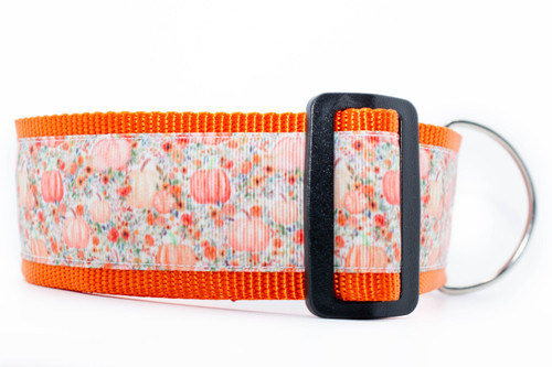 2 inch wide collar with orange nylon and a rustic watercolor-style pumpkin print. 2 inch wide collar with orange nylon and a rustic watercolor-style pumpkin print.