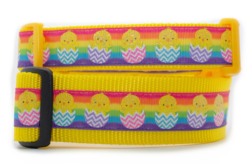 A bright yellow nylon dog collar featuring a decorative ribbon with a rainbow background. The ribbon depicts small, glittery yellow chicks hatching from Easter eggs with pink, blue, and purple zigzag patterns.  Top is 1 inch wide and bottom is 1.5 inch wide.