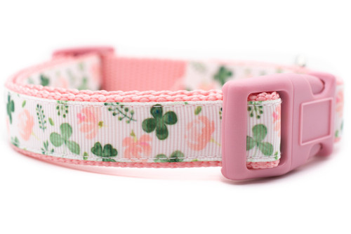 A pink and white dog collar with a floral pattern featuring pink flowers and green shamrocks.