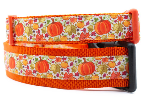 Orange nylon with a fall pattern featuring pumpkins, apples, leaves and berries.