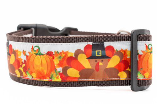 Fall dog collar with turkeys wearing pilgrim hats and pumpkins in a bed of fall leaves.