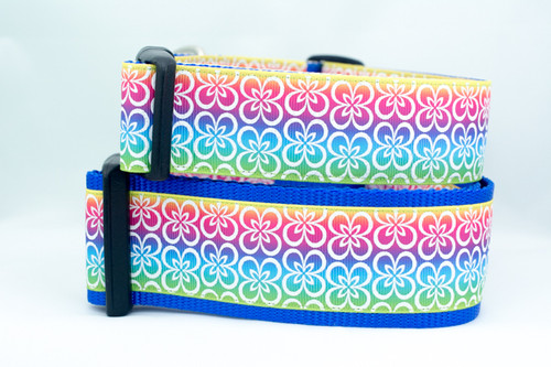 Neon Rainbow dog collar