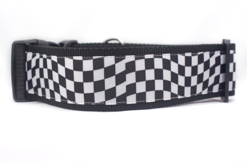 checkered flag dog collar