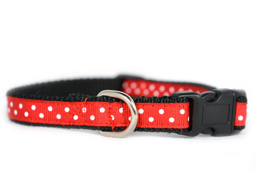 red and white polka dot dog collar