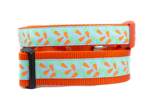 A light aqua dog collar with an orange nylon and a pattern of orange carrots.