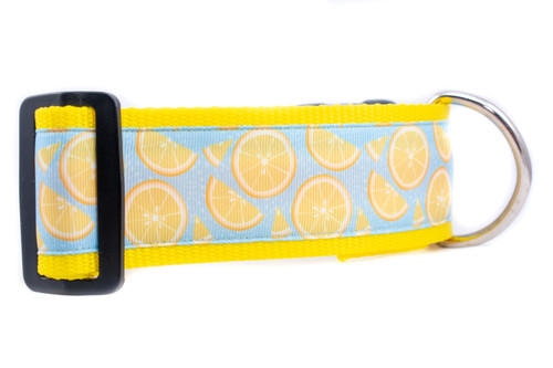 Summer Lemonade Dog Collar 2" wide Summer Lemonade Dog Collar 2" wide