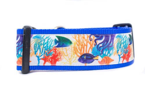 Coral Reef Dog Collar 2" wide Coral Reef Dog Collar 2" wide