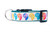 Nautilus Dog Collar 1" wide 