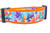 Ocean Friends Dog Collar 2" wide