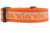 Fall Dog Collar  - 1 or 1.5" wide - Burlap Pumpkin Fall Dog Collar  - 1 or 1.5" wide - Burlap Pumpkin