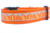 Fall Dog Collar  - 1 or 1.5" wide - Burlap Pumpkin Fall Dog Collar  - 1 or 1.5" wide - Burlap Pumpkin